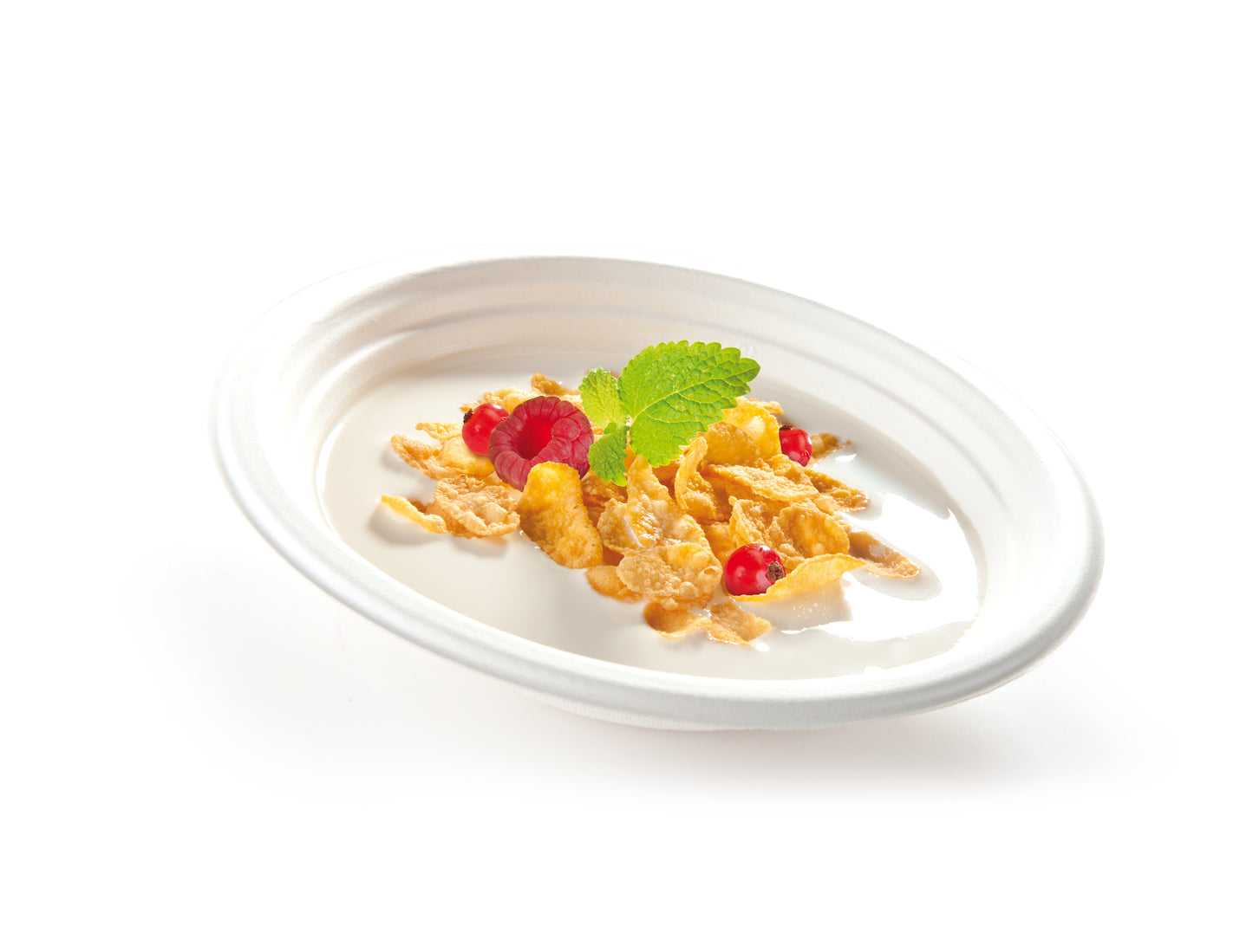 Final Clearance β Food Program Pack β Ends Aug 18