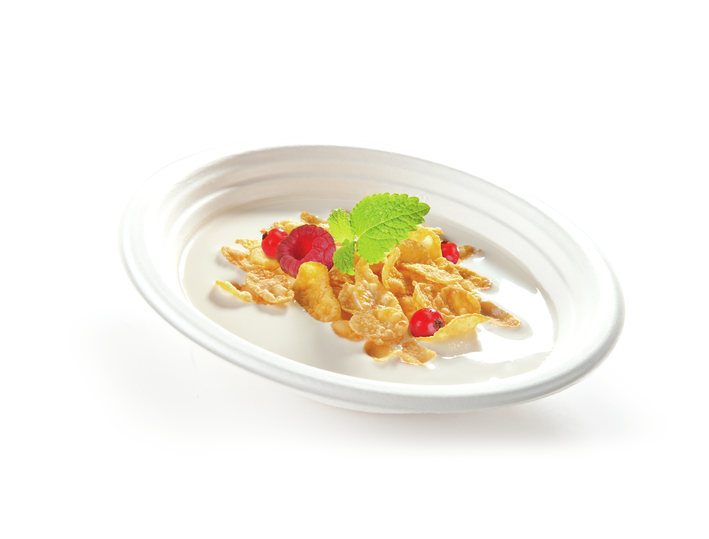 Final Clearance β Food Program Pack β Ends Aug 18
