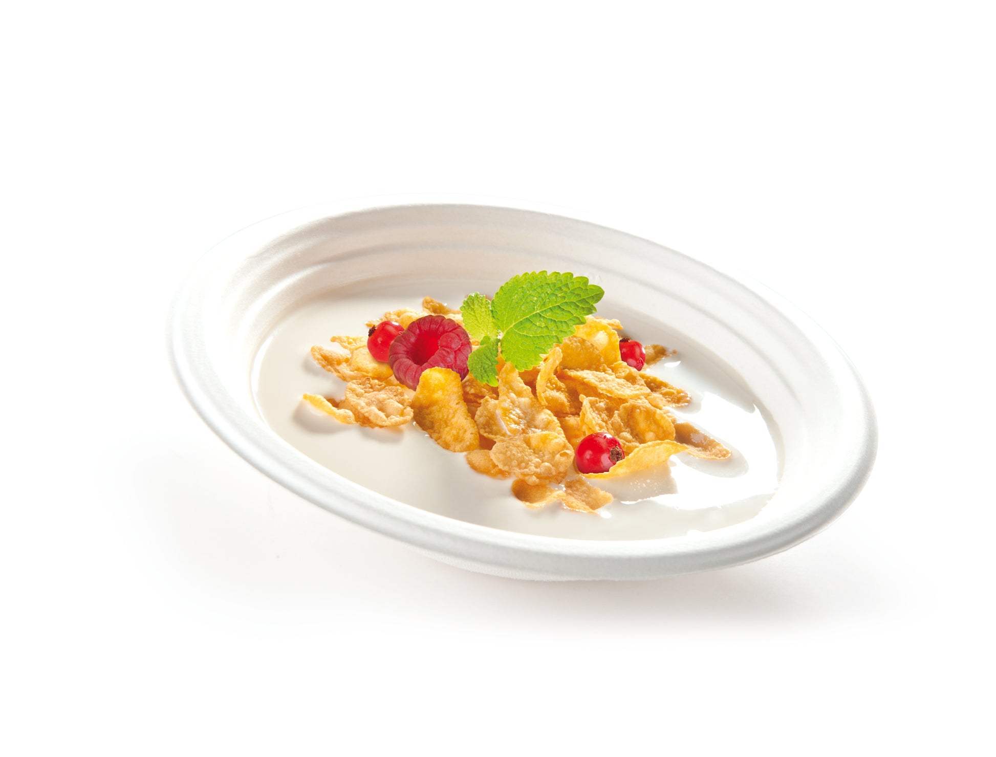 final-clearance-eco-bundle-–-compostable-plates,-bowls-&-cups