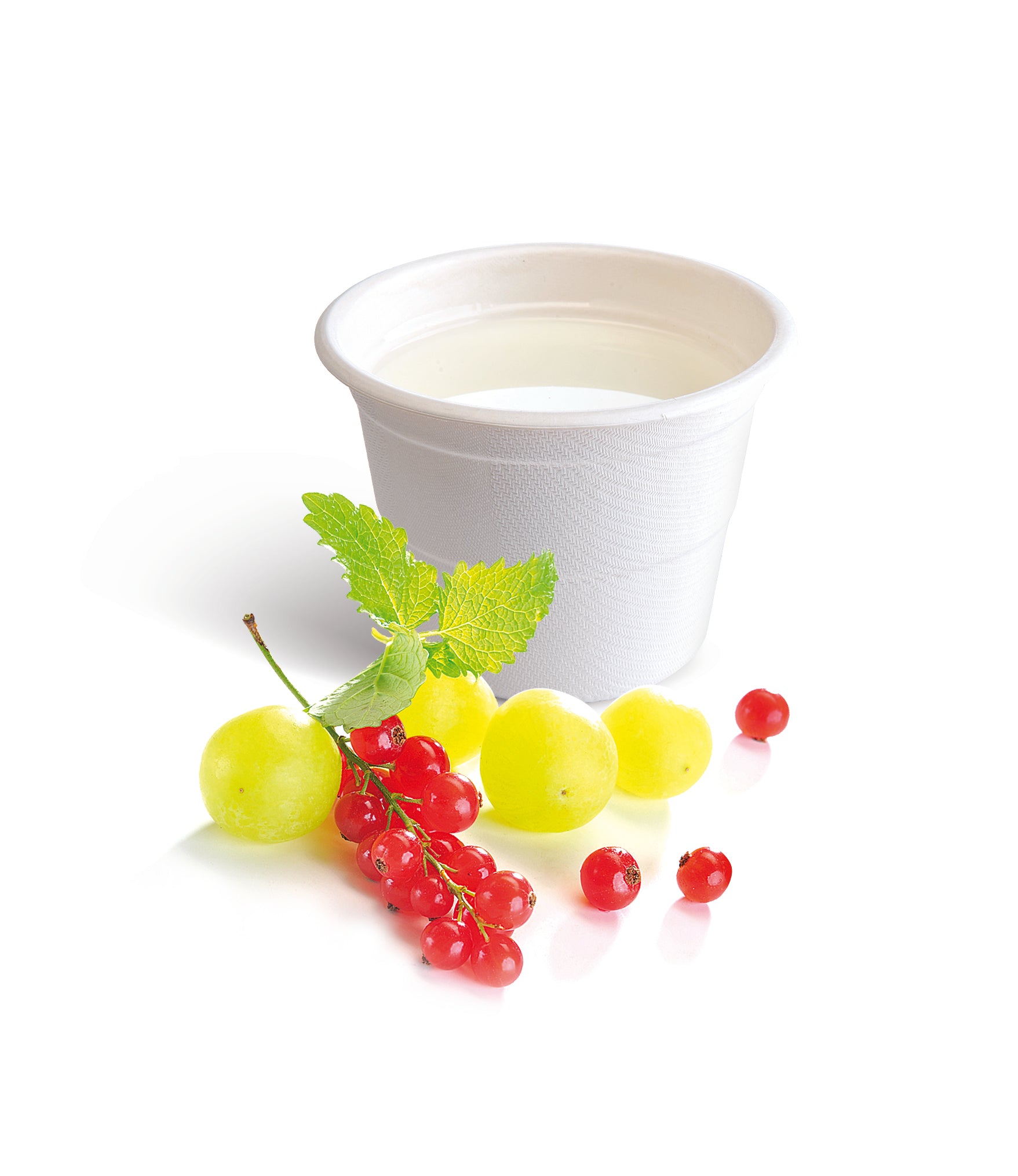 final-clearance-eco-bundle-–-compostable-plates,-bowls-&-cups