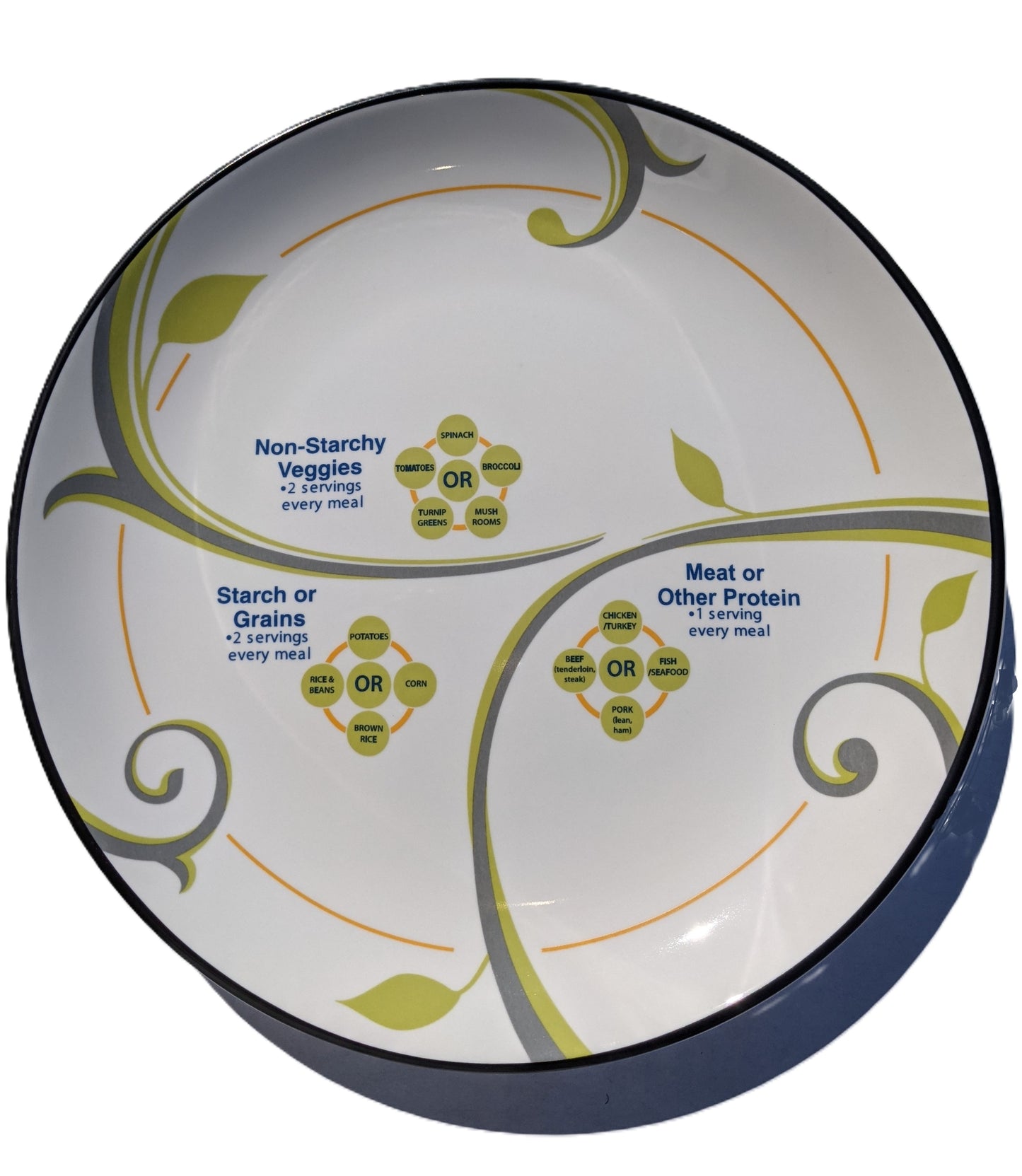 Precise Portions 9 Inch Porcelain Portion Control Dinner Plate for Adults and Teens